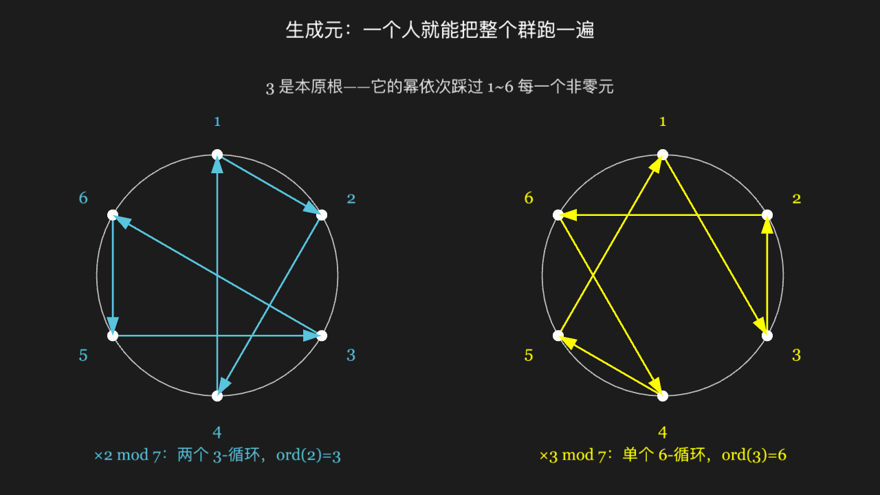 乘法群 (Z/7)*：谁是生成元，一眼看出阶