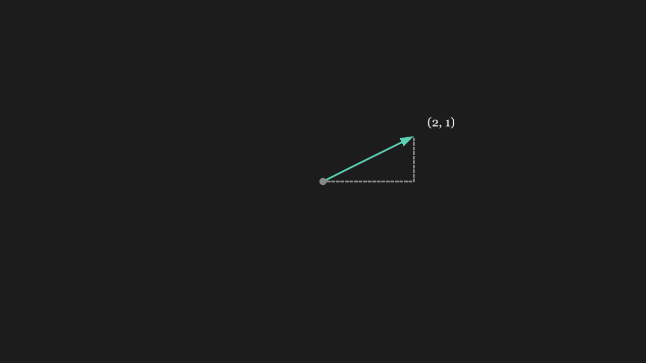 Vector 位置参数
