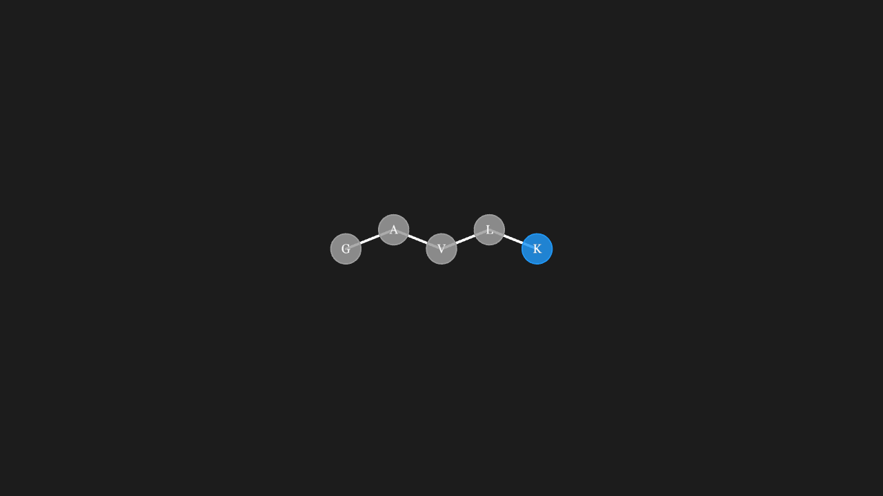 氨基酸链 AminoAcidChain